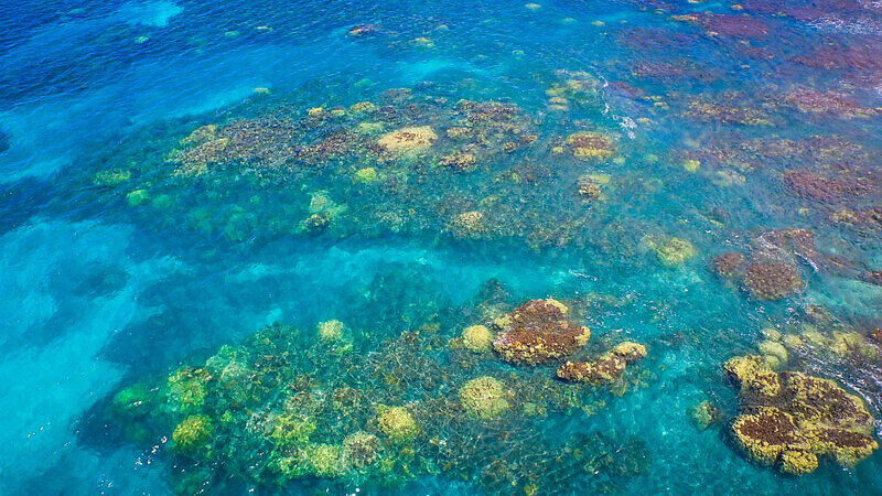 Коралловые сады, Бора Бора достопримечательности острова
