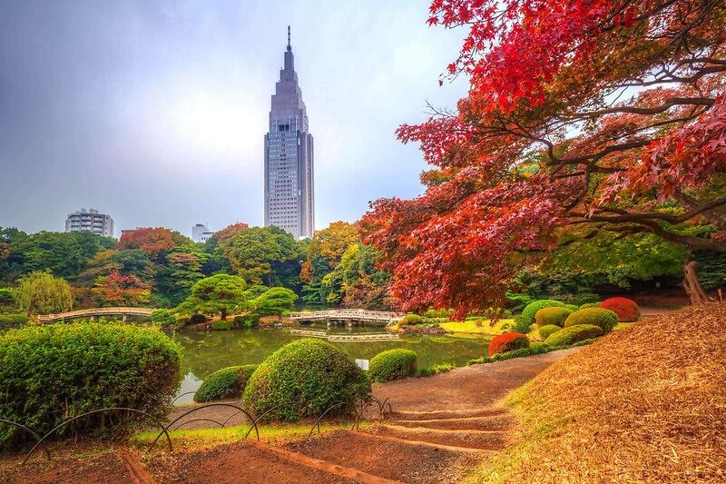 Национальный сад Синдзюку Гёэн, Токио достопримечательности доклад