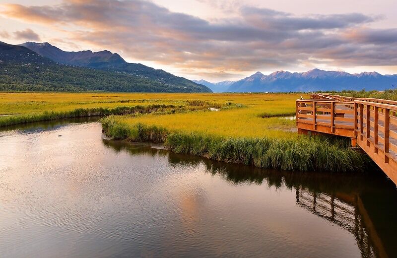 Potter Marsh, Best Things To Do in Anchorage