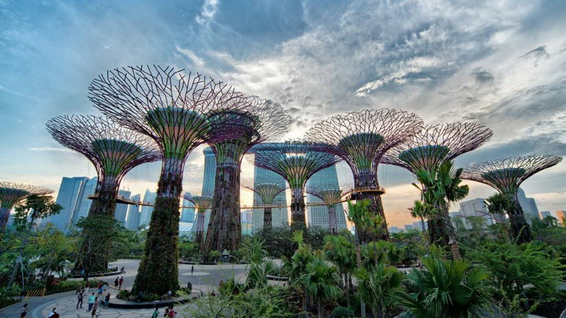 Сады у залива, уникальное место Сингапура