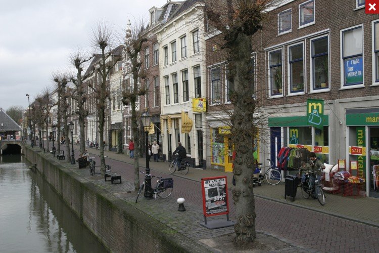Схонховен экскурсии по окрестностям Роттердама 