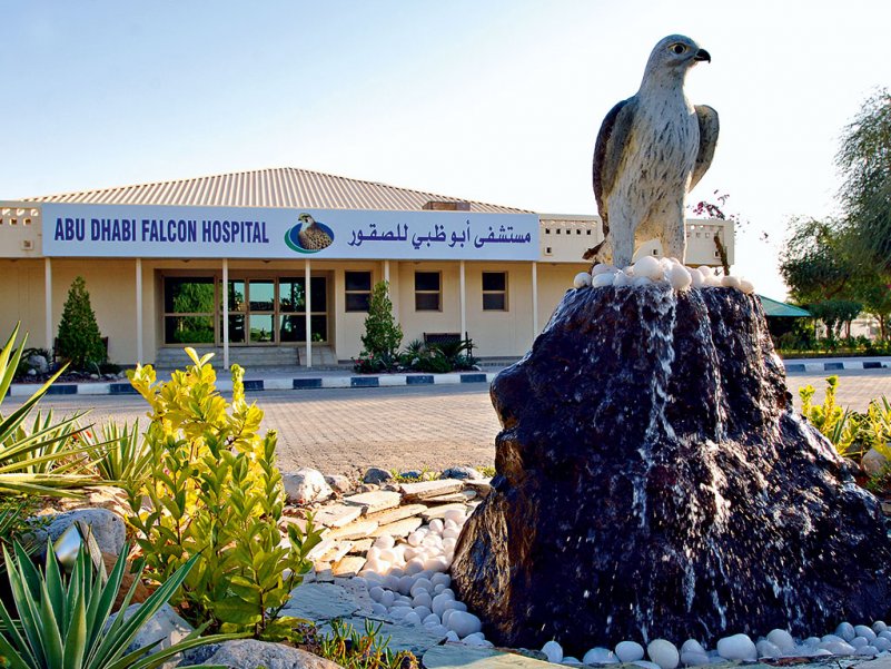 Соколиный госпиталь, Абу-Даби