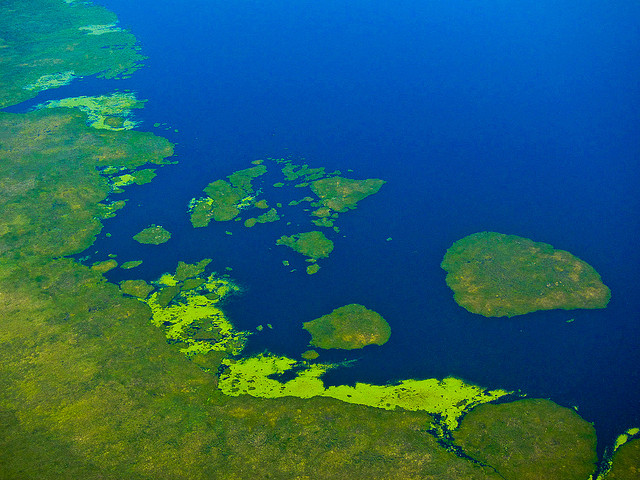 Водно-болотистые угодья Иберия
