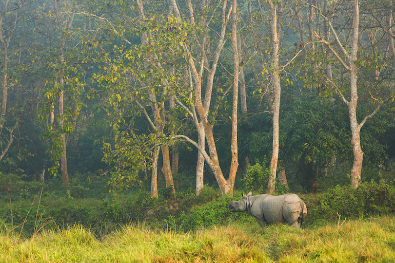 Национальный парк Читван
