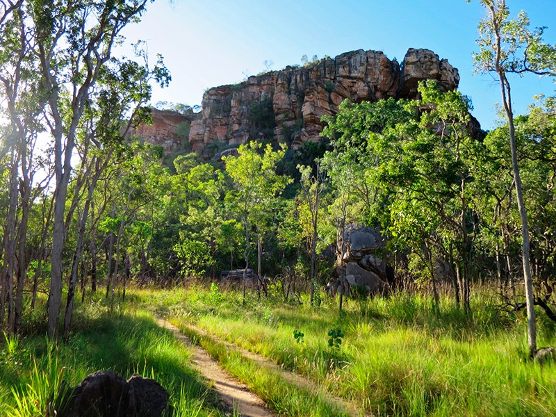 Benarkin State Forest, гид по природным паркам Австралии