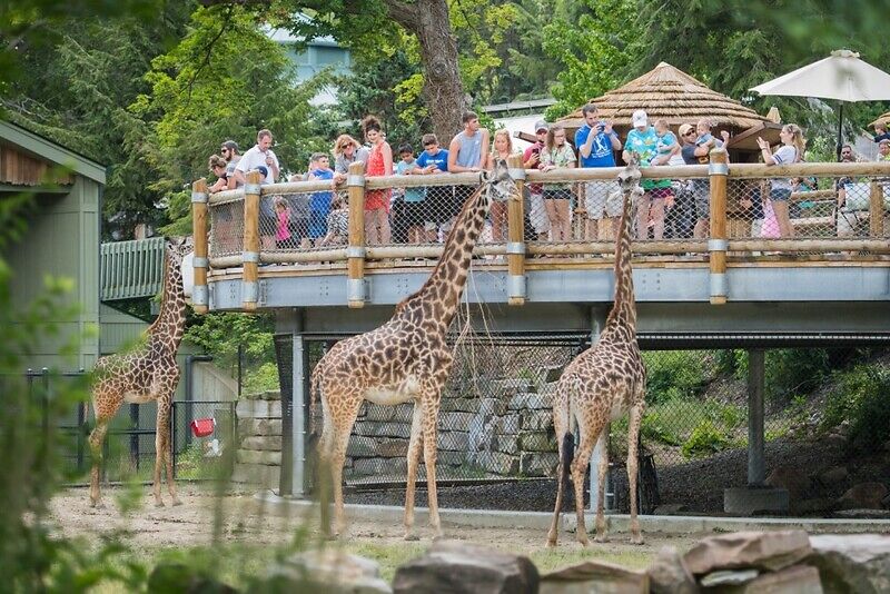 Cleveland Metroparks Zoo, Кливленд США
