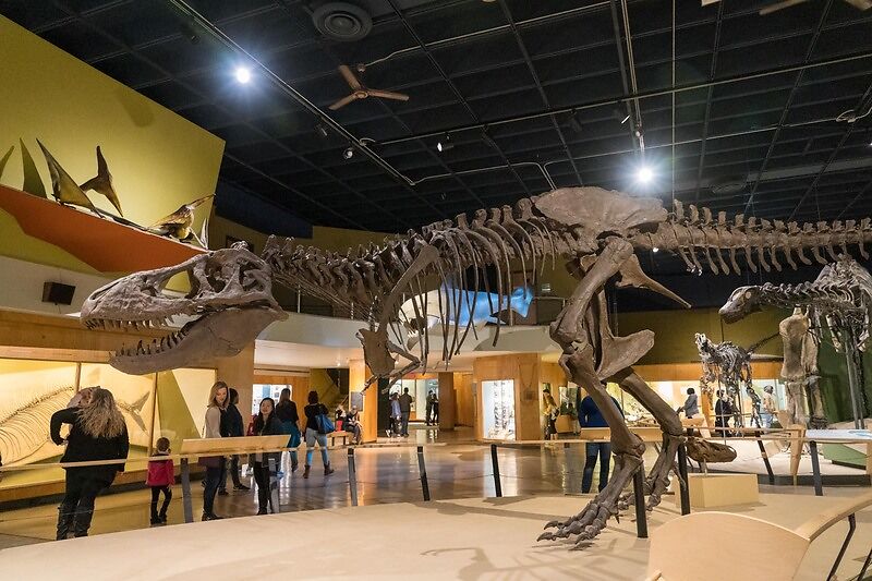 Cleveland Museum of Natural History, Кливленд достопримечательности