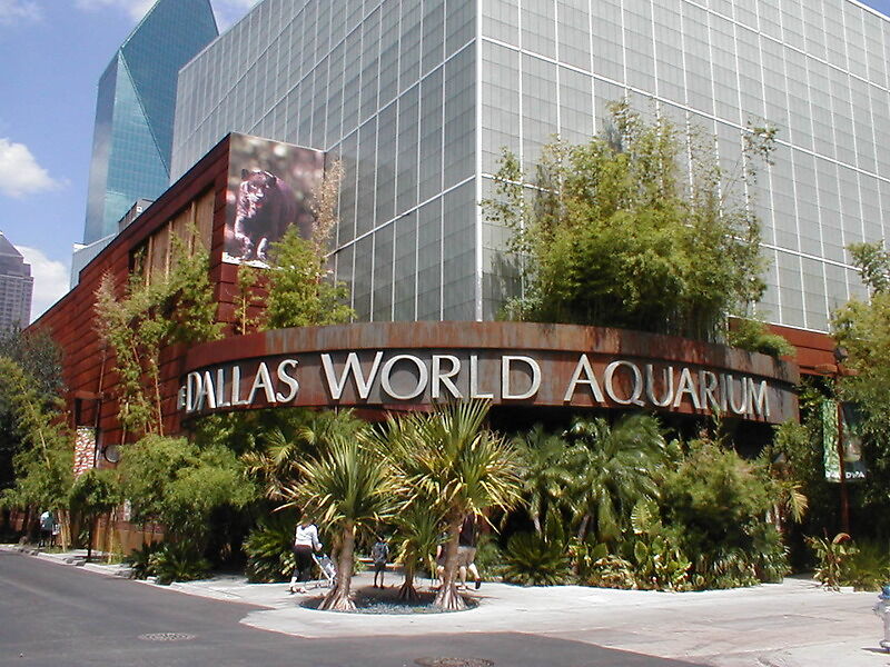 Dallas World Aquarium, даллас штат техас сша