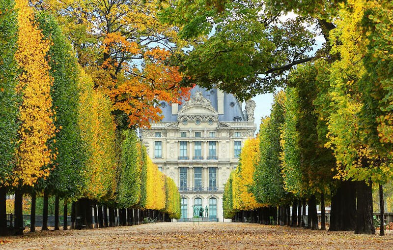 Jardin des Tuileries доклад Париж