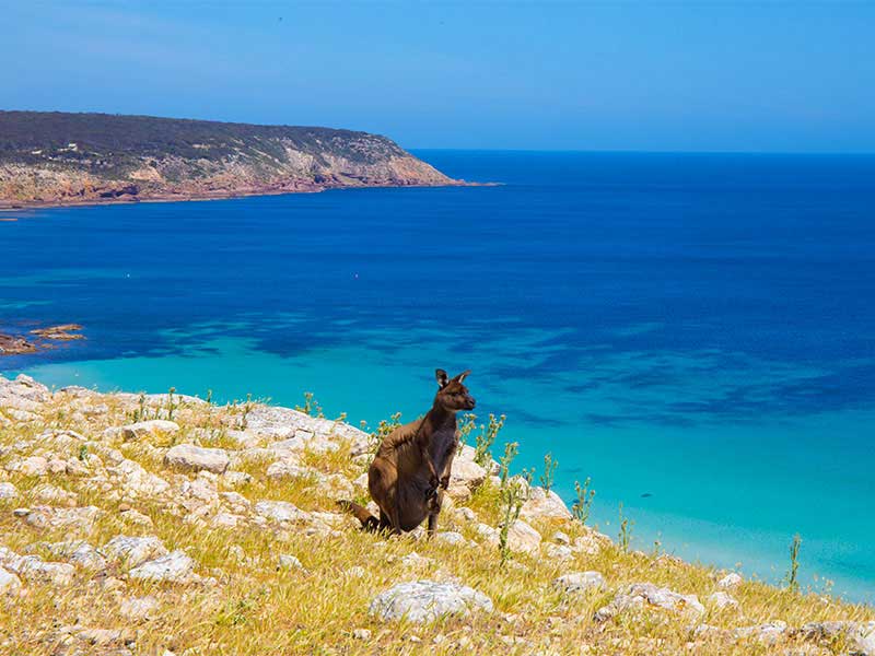 Kangaroo Island, South Australia, Australia