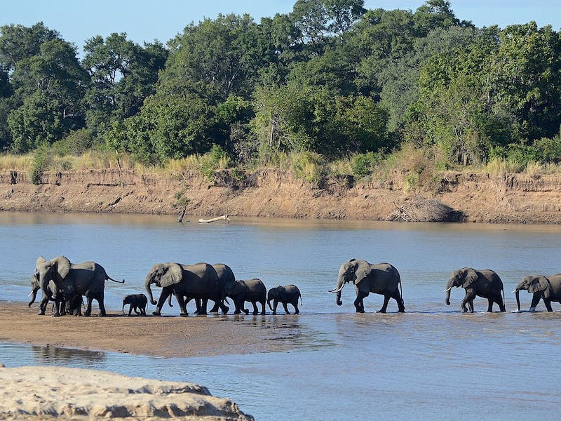 Kavango-Zambezi Transfrontier Conservation Area, Angola