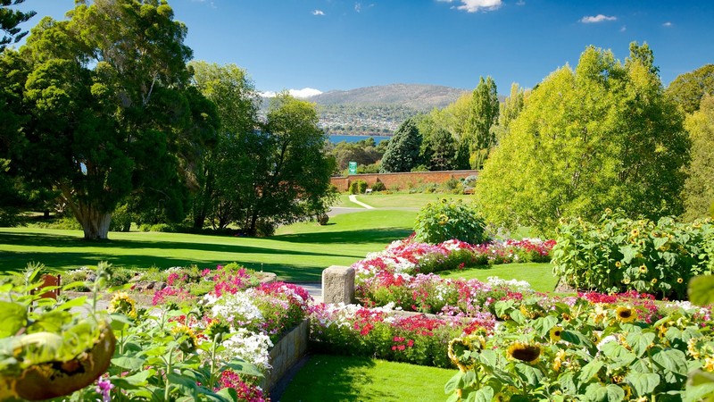 Королевский ботанический сад Тасмании 