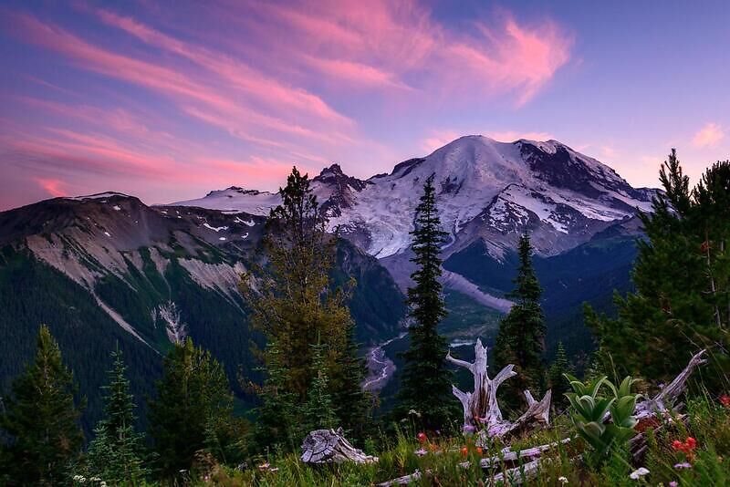 Mount Rainier National Park, Национальные парки США