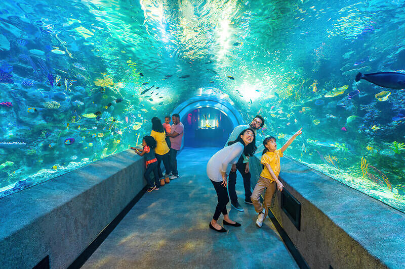Newport Aquarium, Цинциннати США