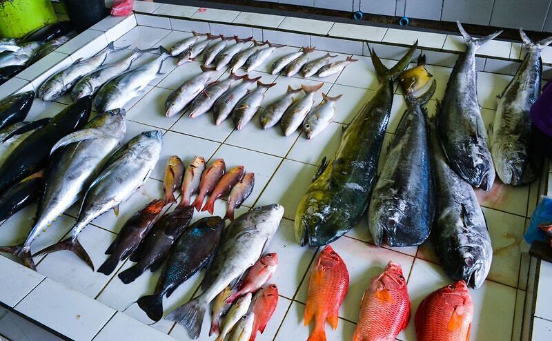 Рыбный рынок Мале, мальдивские острова