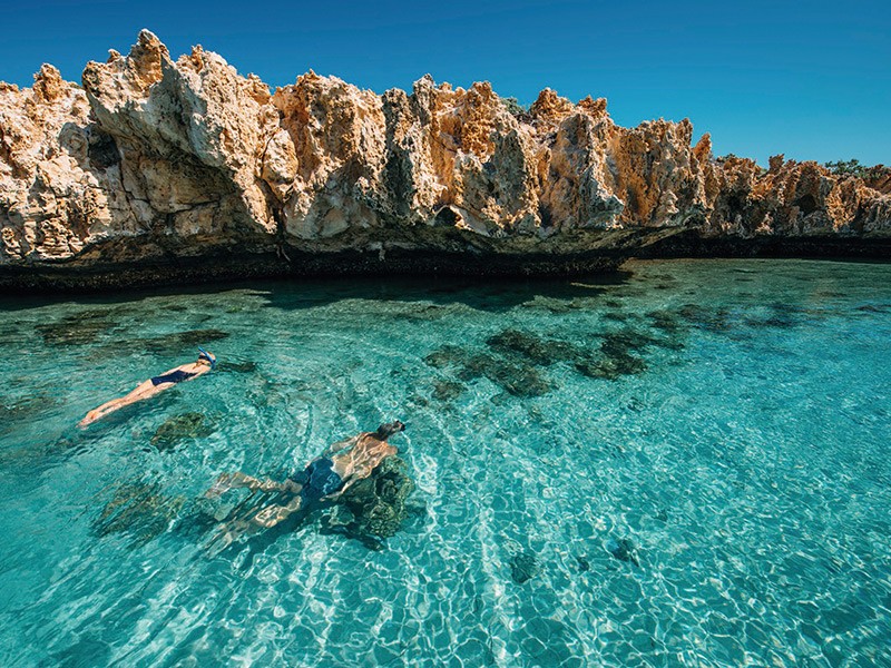 Shark Bay, Western Australia, Australia