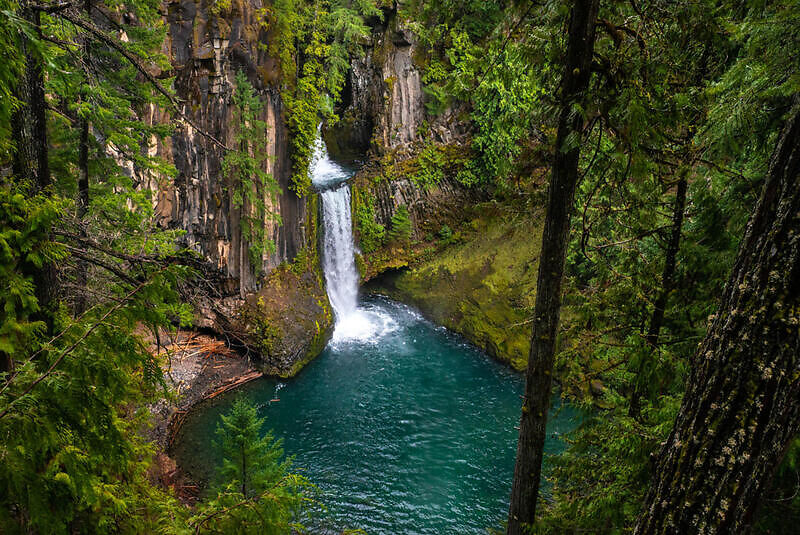 Toketee Falls достопримечательность штата Орегон