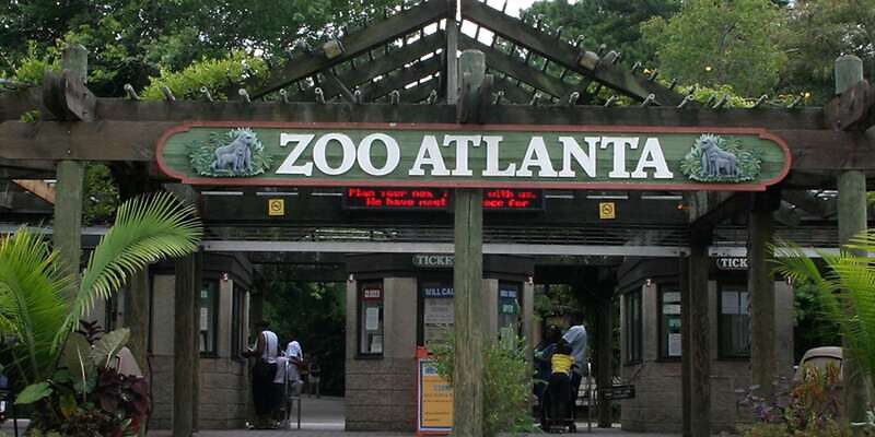 Zoo Atlanta, Best Things To Do in Atlanta