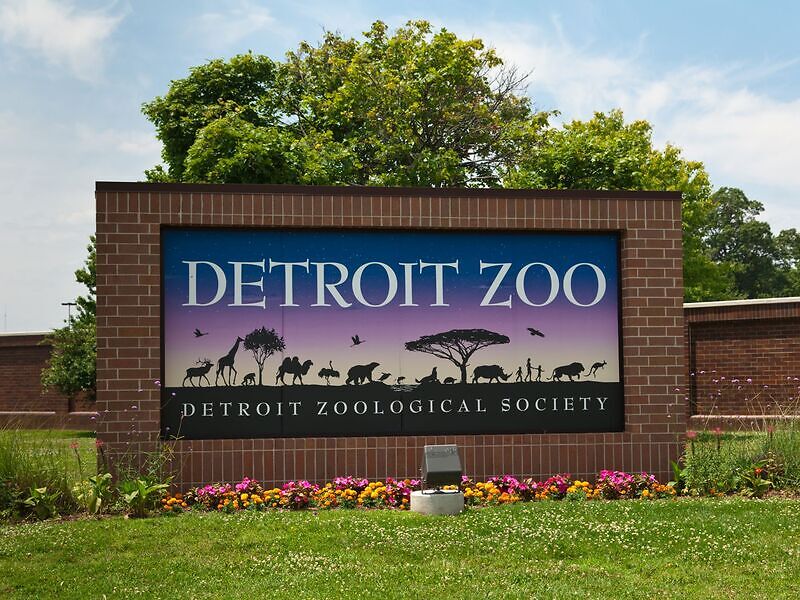 Зоопарк Детройта