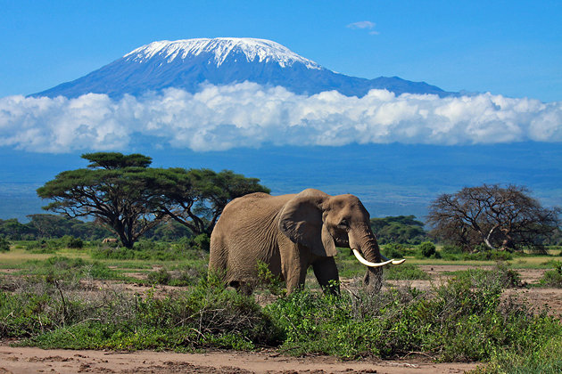 Килиманджаро, топ достопримечательностей Танзании